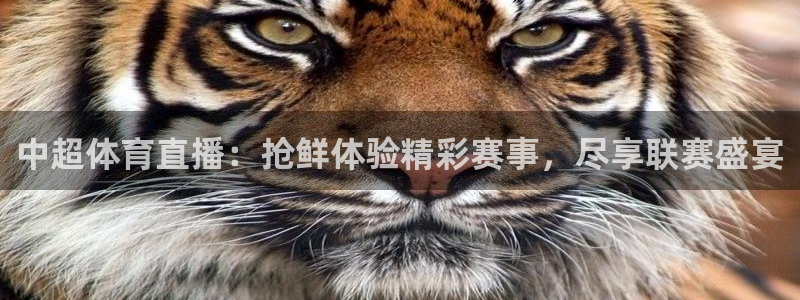 中超体育直播：抢鲜体验精彩赛事，尽享联赛盛宴