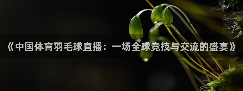 《中国体育羽毛球直播：一场全球竞技与交流的盛宴》