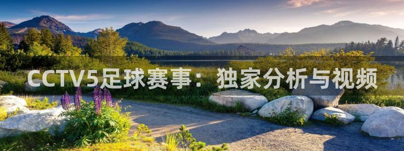 CCTV5足球赛事：独家分析与视频