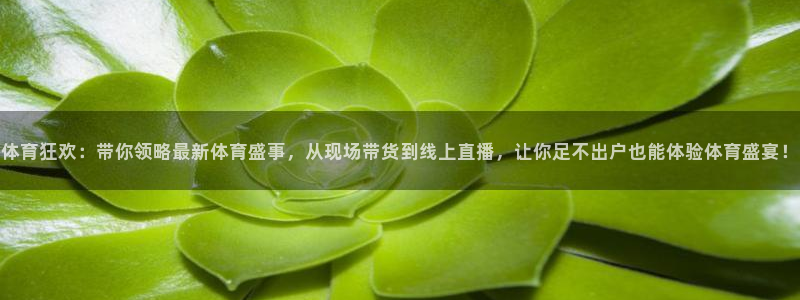 体育狂欢：带你领略最新体育盛事，从现场带货到线上直播，让你足不出户也能体验体育盛宴！