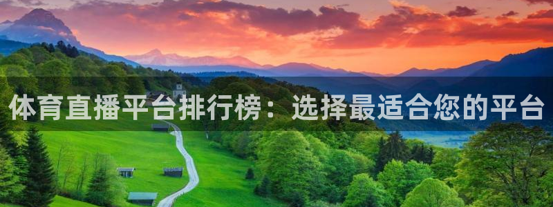 体育直播平台排行榜：选择最适合您的平台