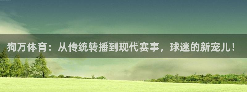 狗万体育：从传统转播到现代赛事，球迷的新宠儿！