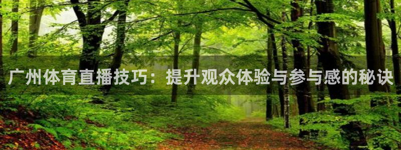 广州体育直播技巧：提升观众体验与参与感的秘诀