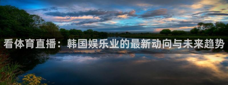 看体育直播：韩国娱乐业的最新动向与未来趋势