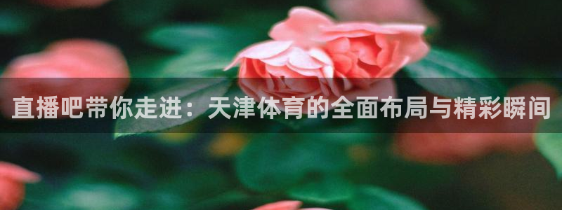 直播吧带你走进：天津体育的全面布局与精彩瞬间