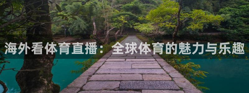 海外看体育直播：全球体育的魅力与乐趣