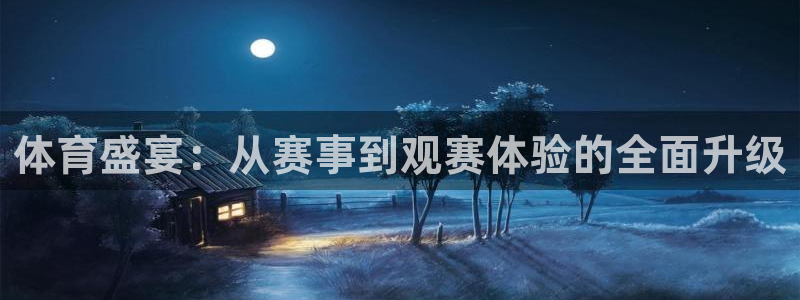 体育盛宴：从赛事到观赛体验的全面升级