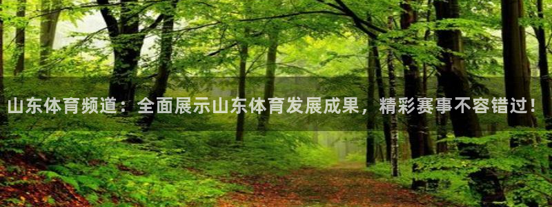 山东体育频道：全面展示山东体育发展成果，精彩赛事不容错过！